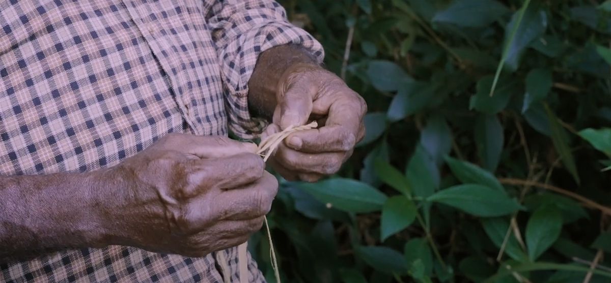 First Nations Science with Queensland Museum  \u2014  Online PD