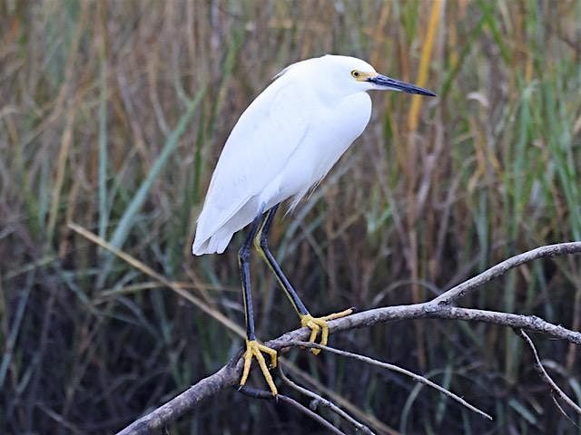 Nocatee Landing with Bill McNee (2)