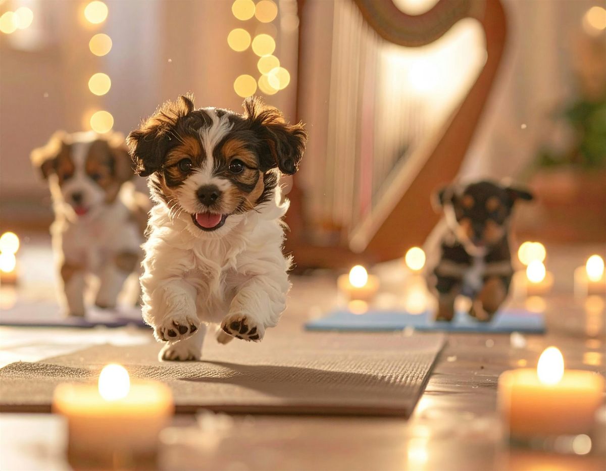 Puppy Yoga with Live Harp Music!