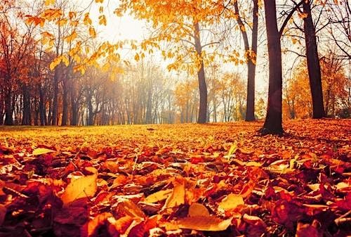 Fall Prayer Gathering