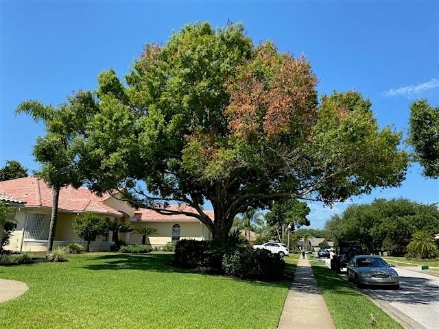 Road Crew! Halloween Edition Pesticide CEU Day