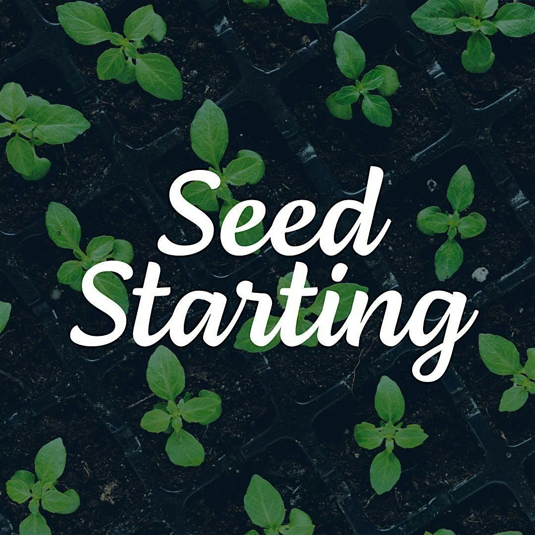 Seed Starting Class