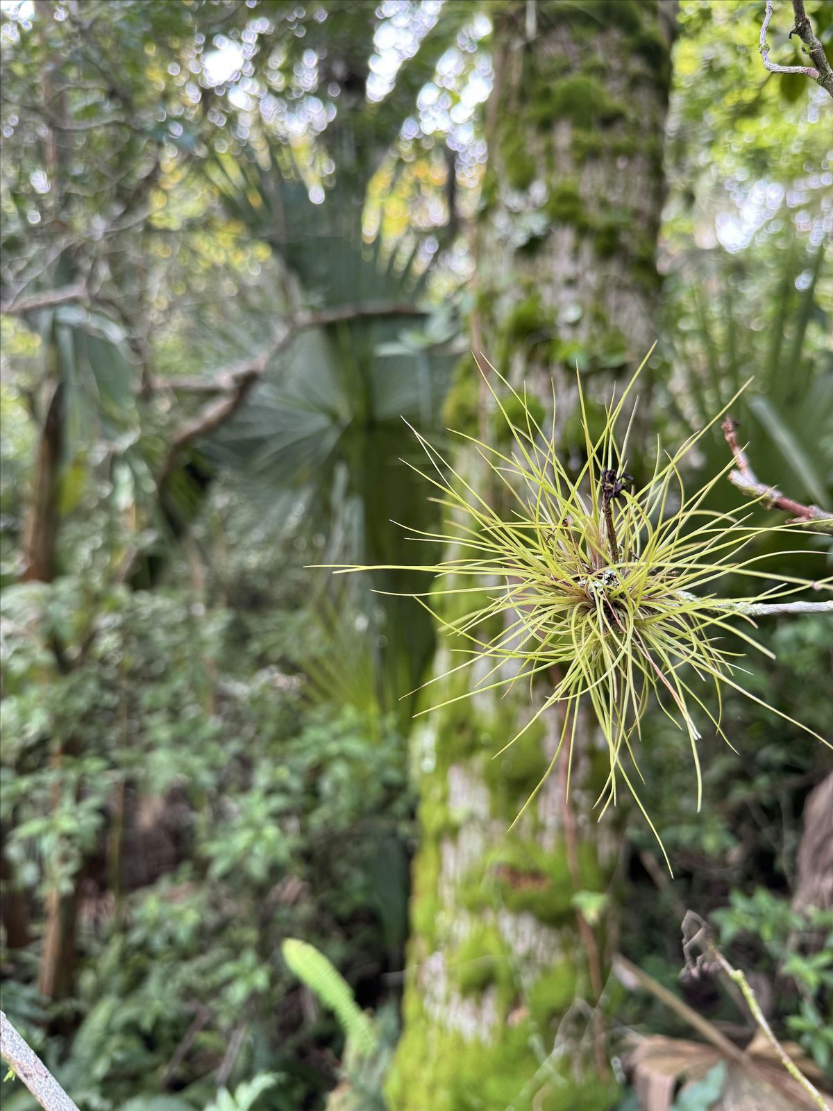Copy of "Off The Beaten Path" Hike