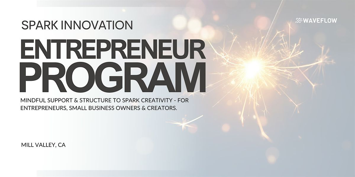 Spark Innovation: Founder & Biz Owner Mindfulness & Accountability Group