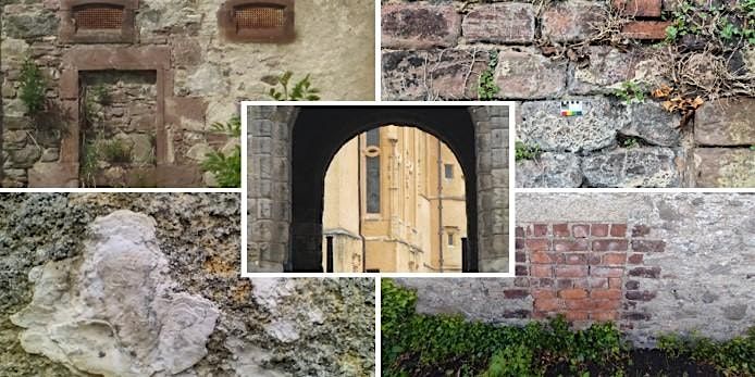 Exploring Historic Lime Finishes