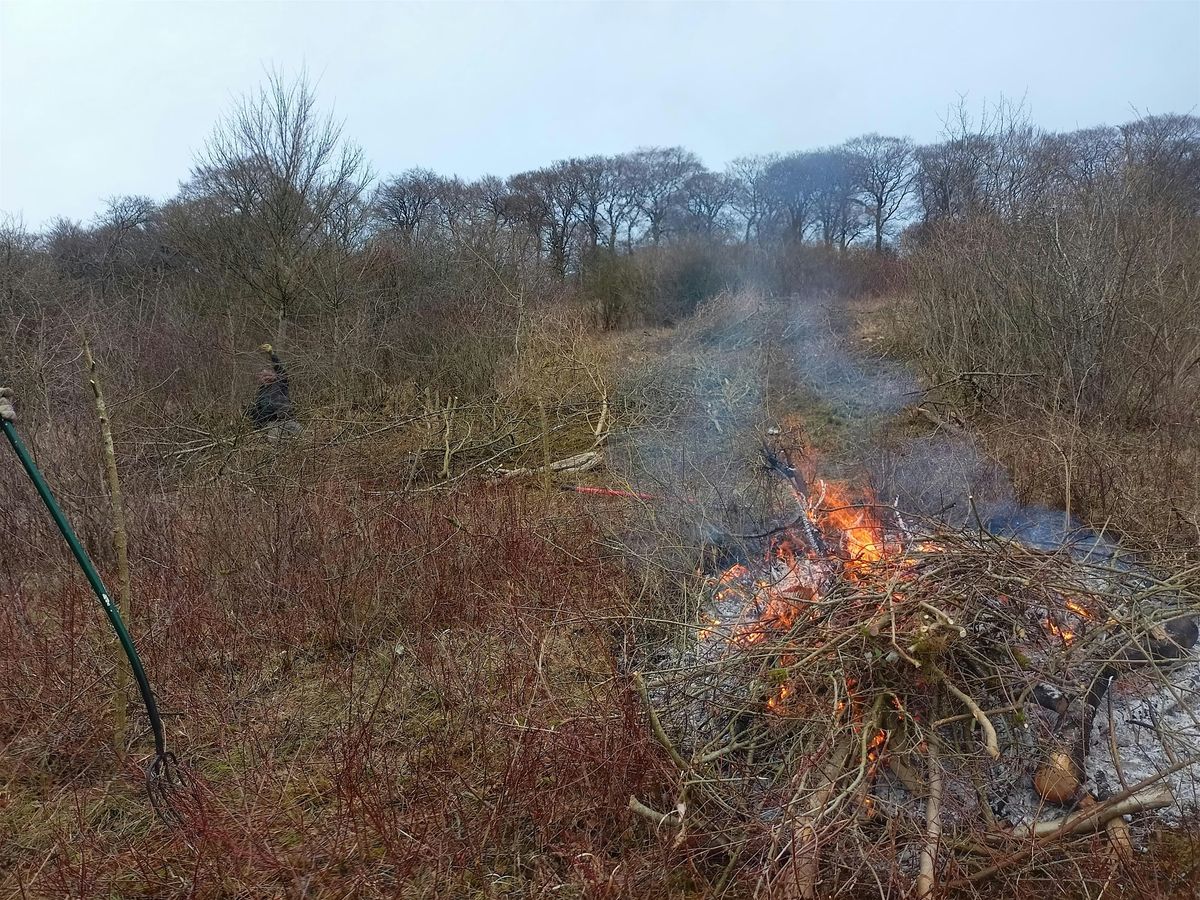 Scrub Bash and Bonfire at Sands Bank Day