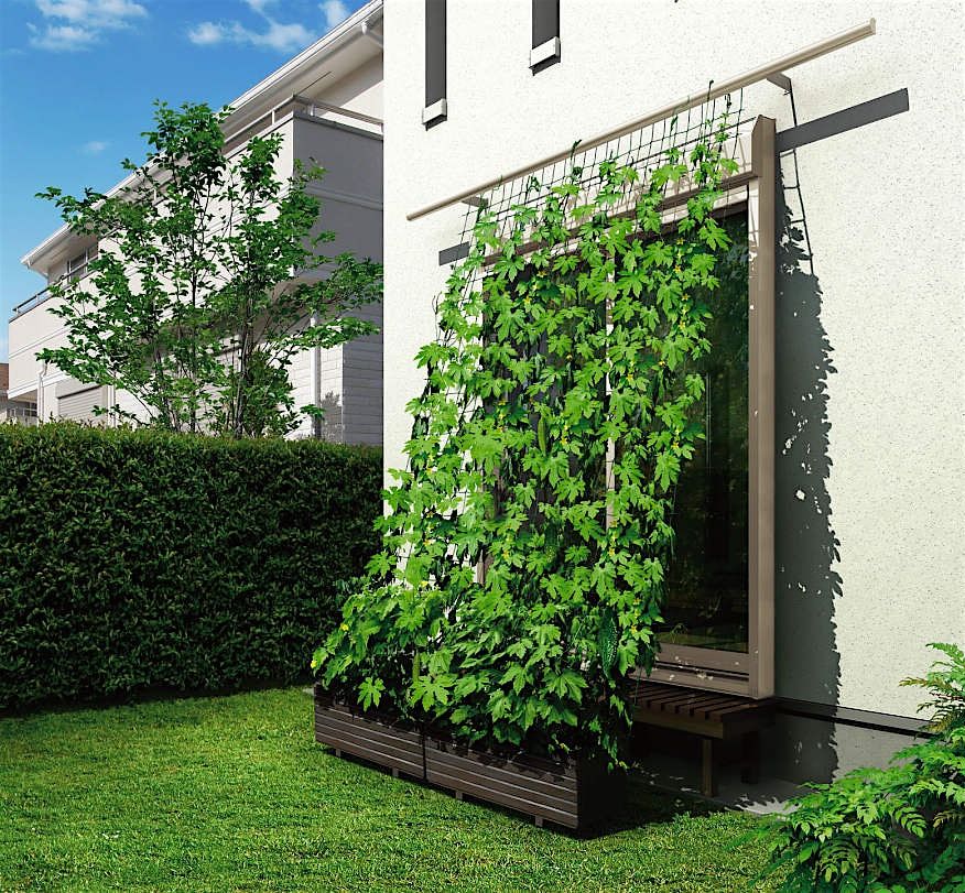 Heat Ready Homes: Incredible Edible Green Curtains Workshop