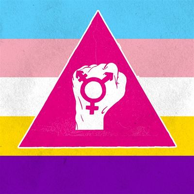 Trans & Intersex Pride Dublin