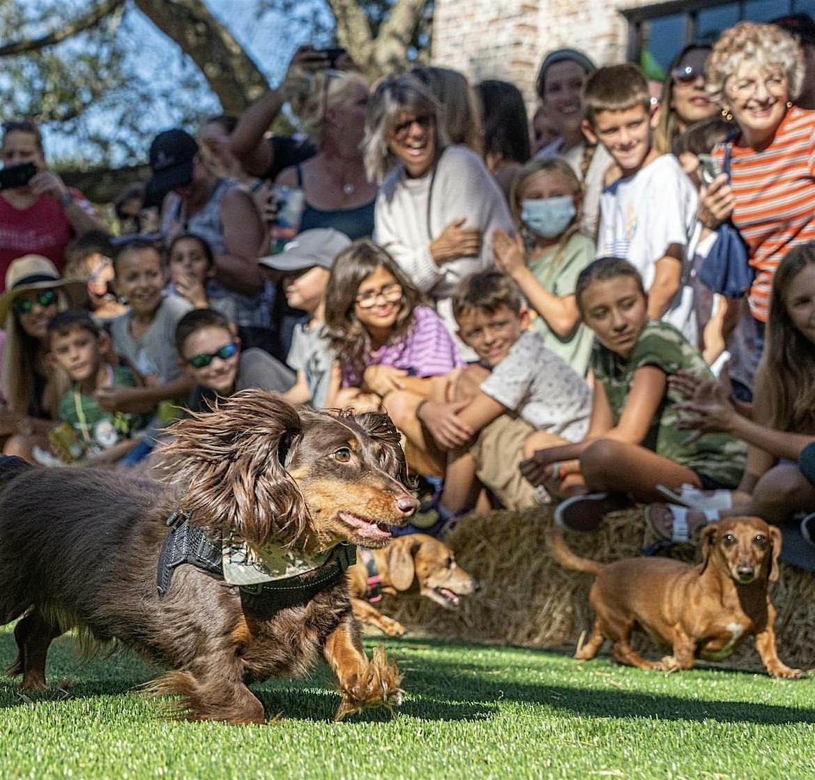 Crooked Can\u2019s Oktoberfest Wiener Races by Our Cause 4 Paws Rescue
