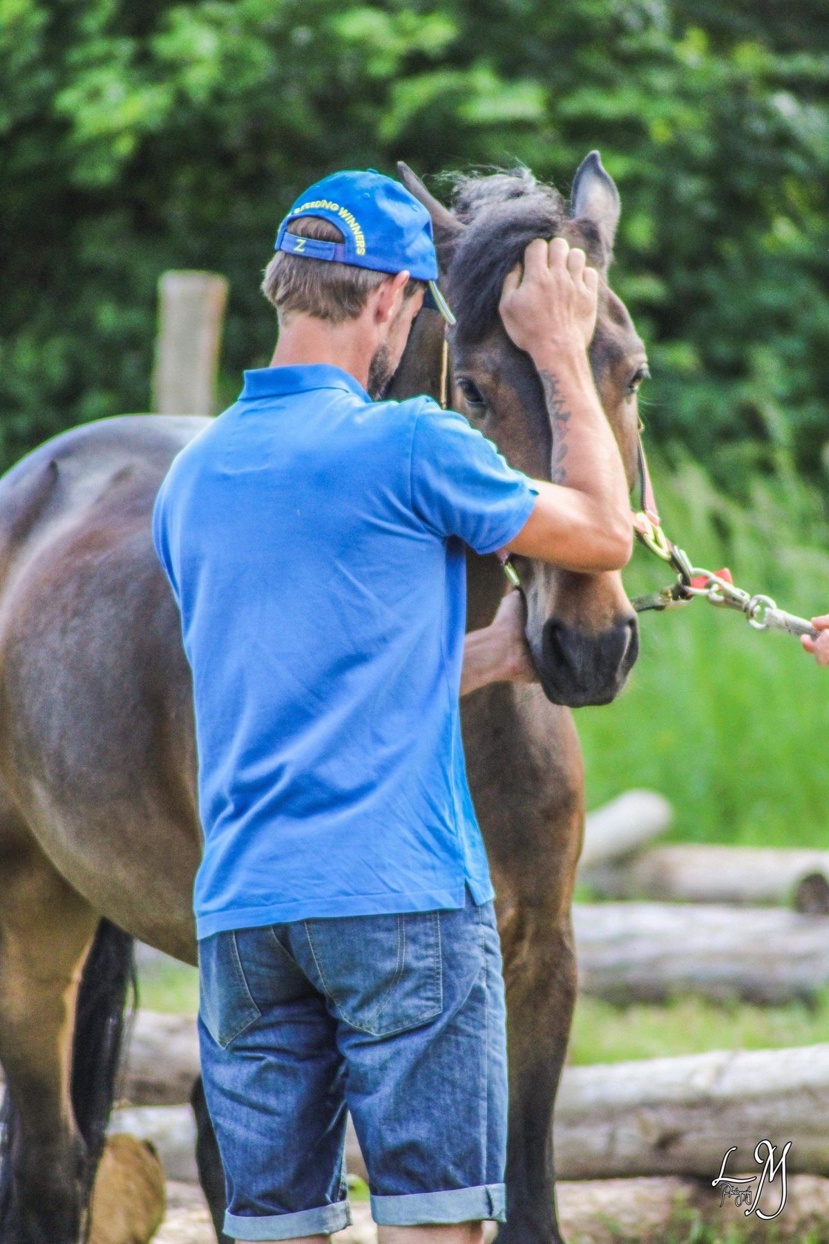 Stage horsemanship et Mountain Trail 