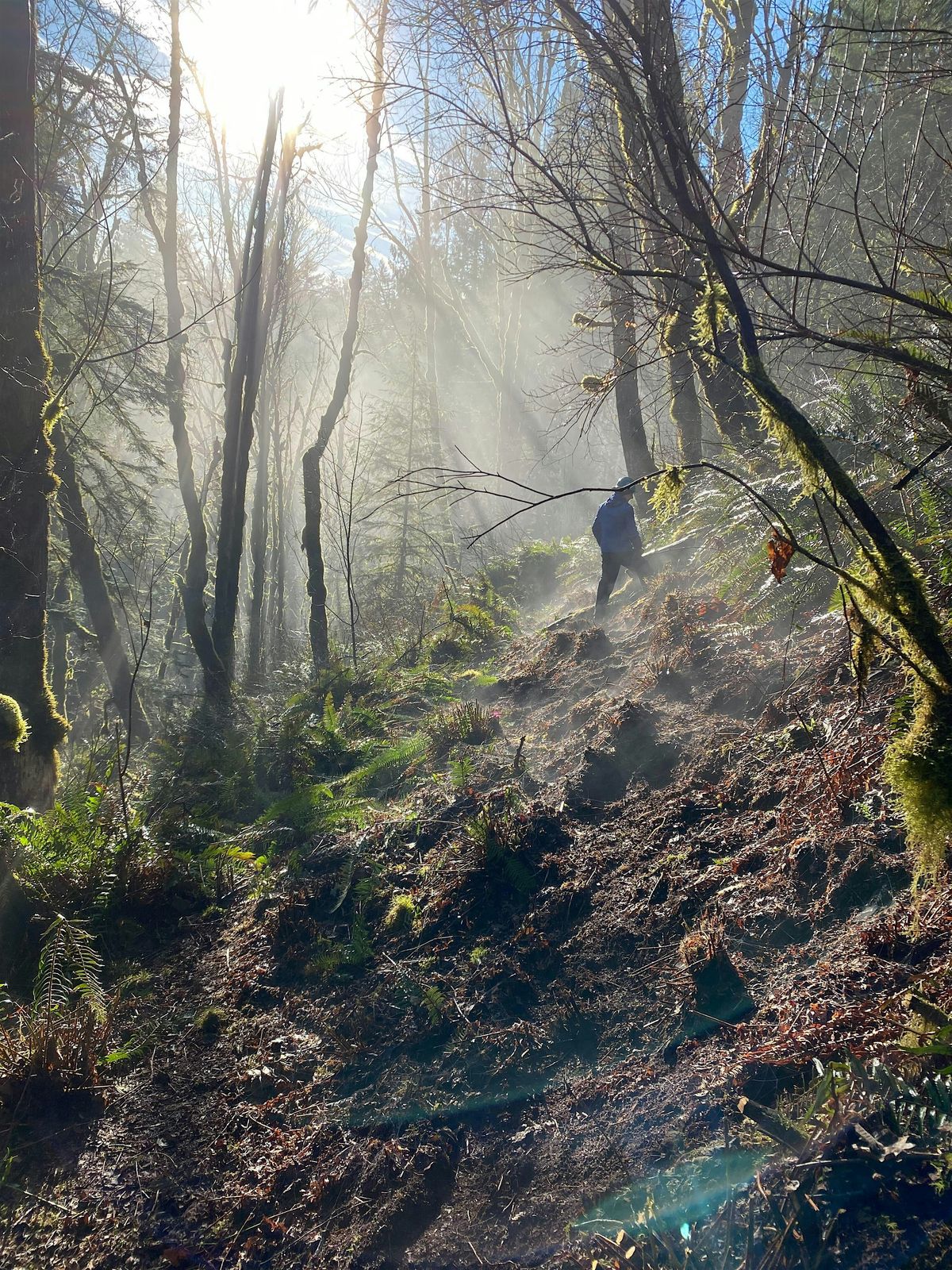 Metzler Park New Trail Development - PDX