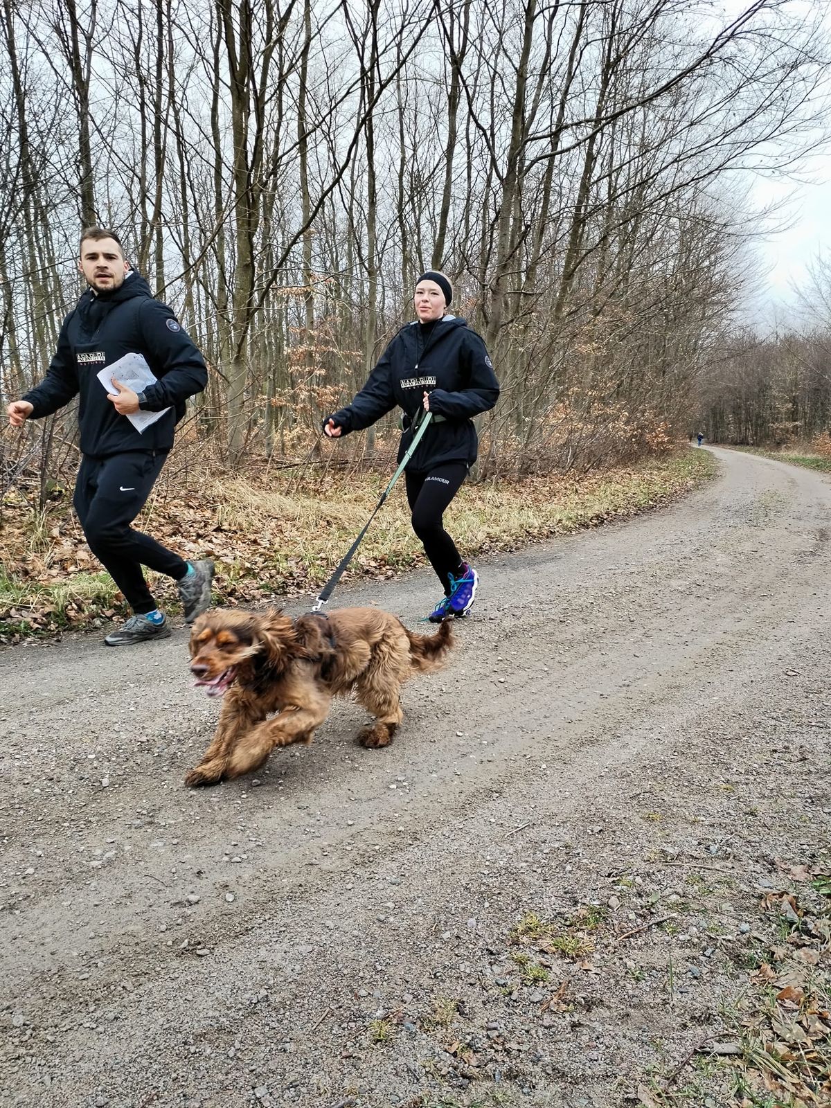 Zawody pucharowe z ogniskiem - Dogtrekking wrze\u015bniowy, pies na szlaku