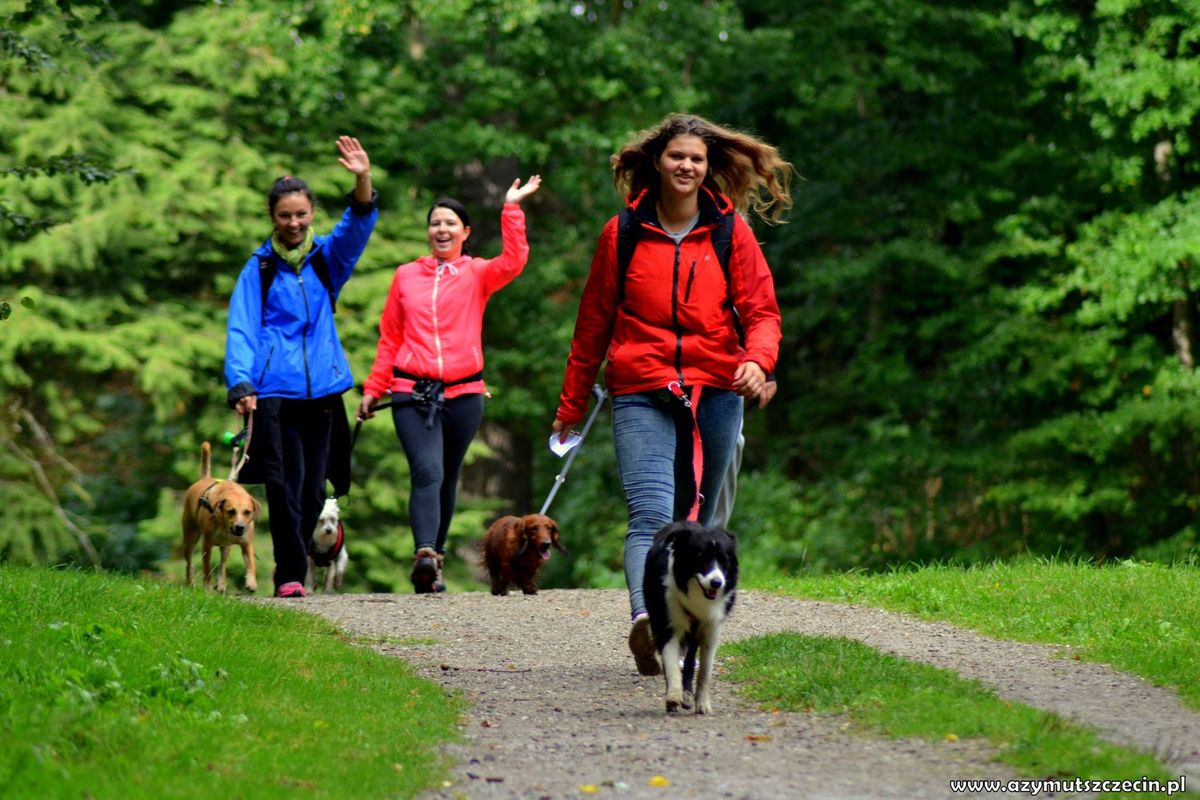 Zawody pucharowe z ogniskiem - Dogtrekking- pies na szlaku