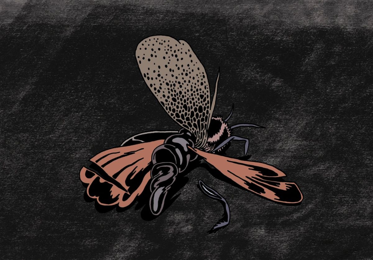 DARK CORNERS: Animated Films screening