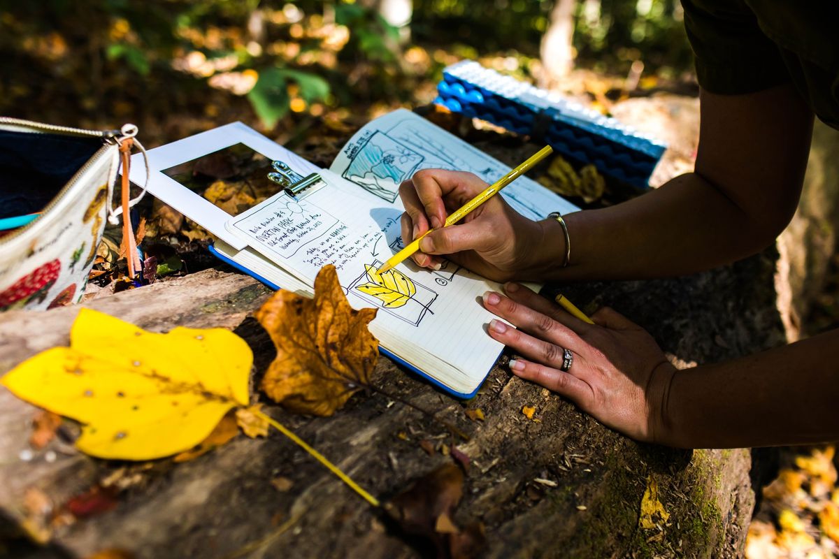 Nature Journaling at Overton Park