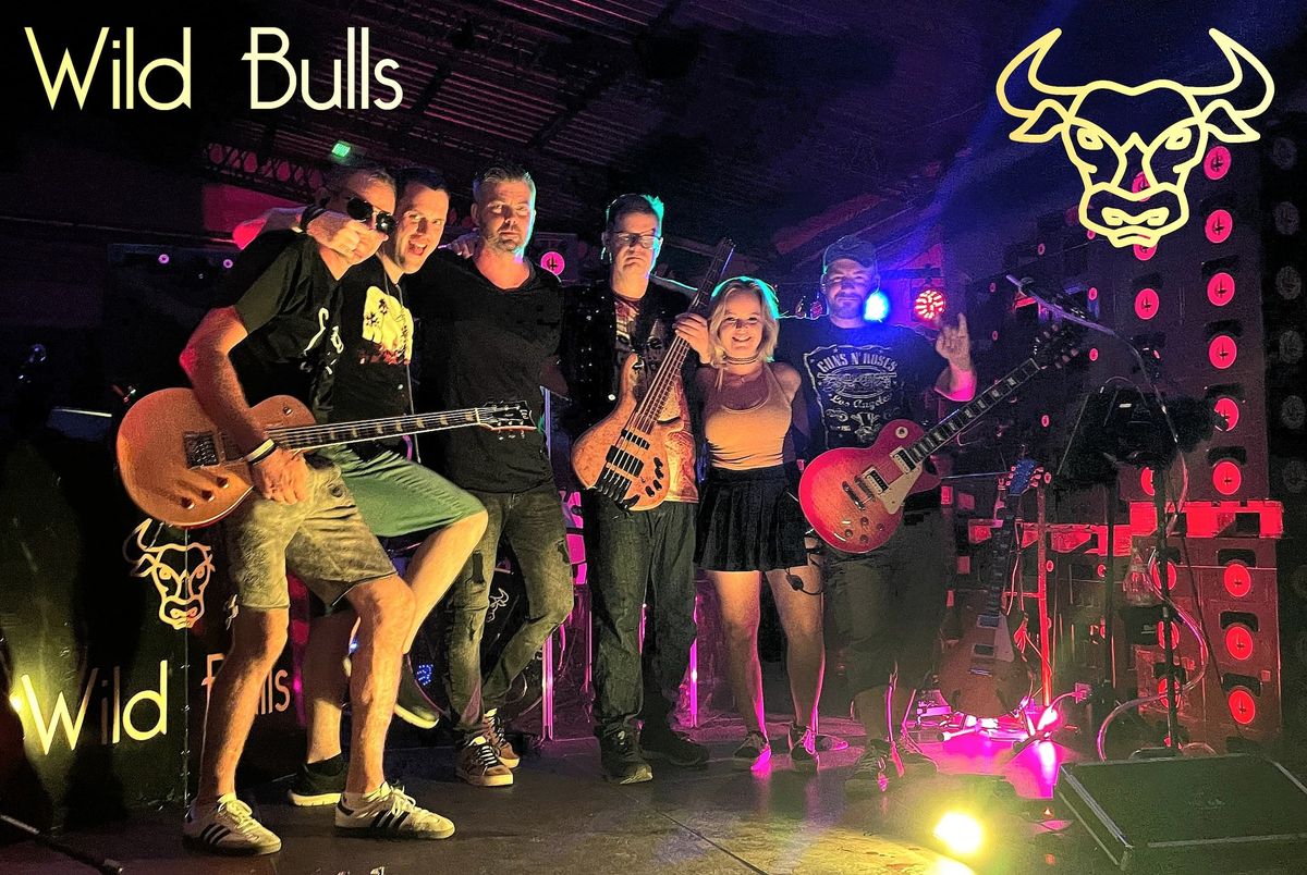 Wild Bulls Live