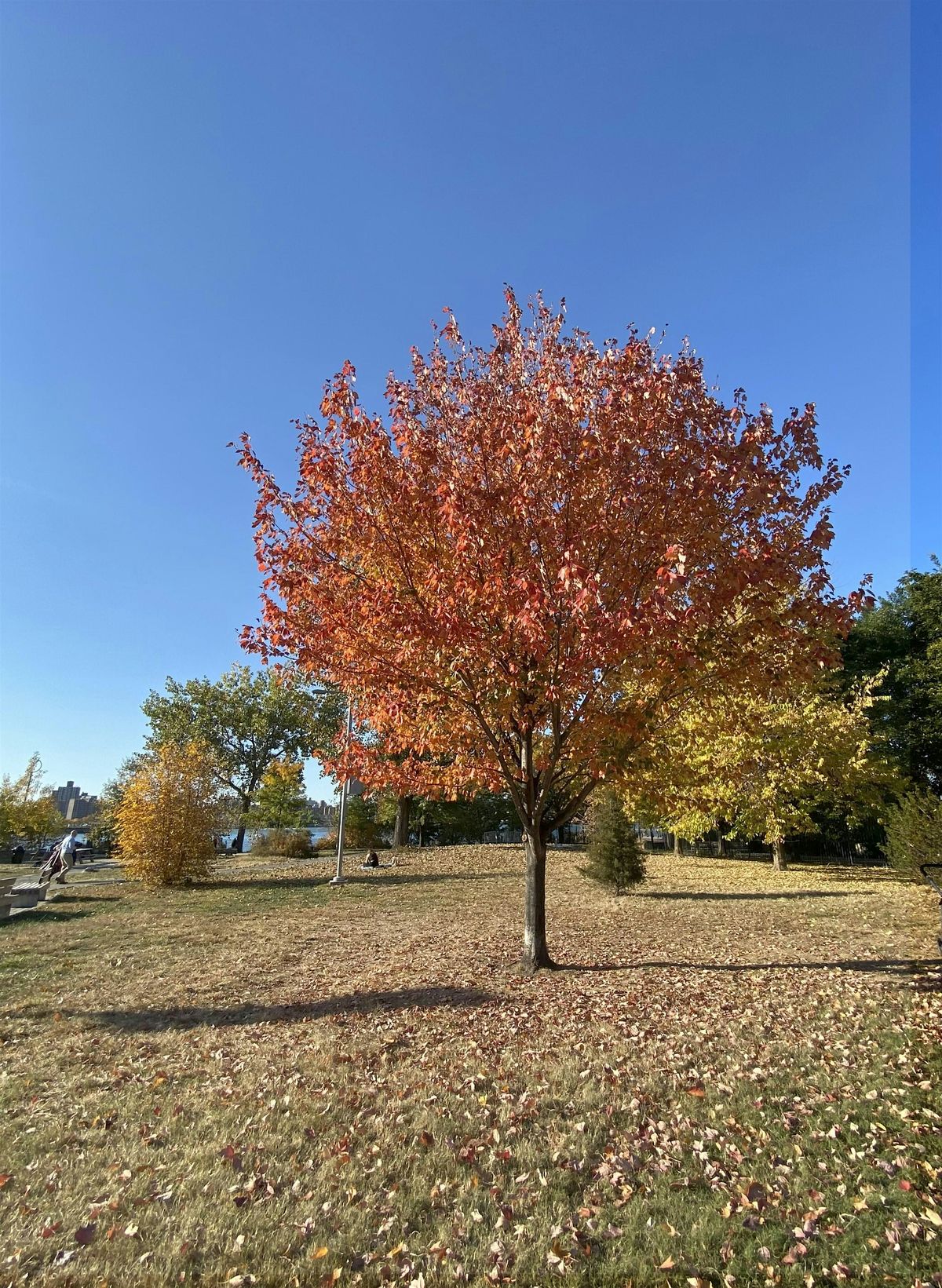 The Poetry of Seasons