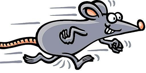 Mouse Race Event Sponsor Sales