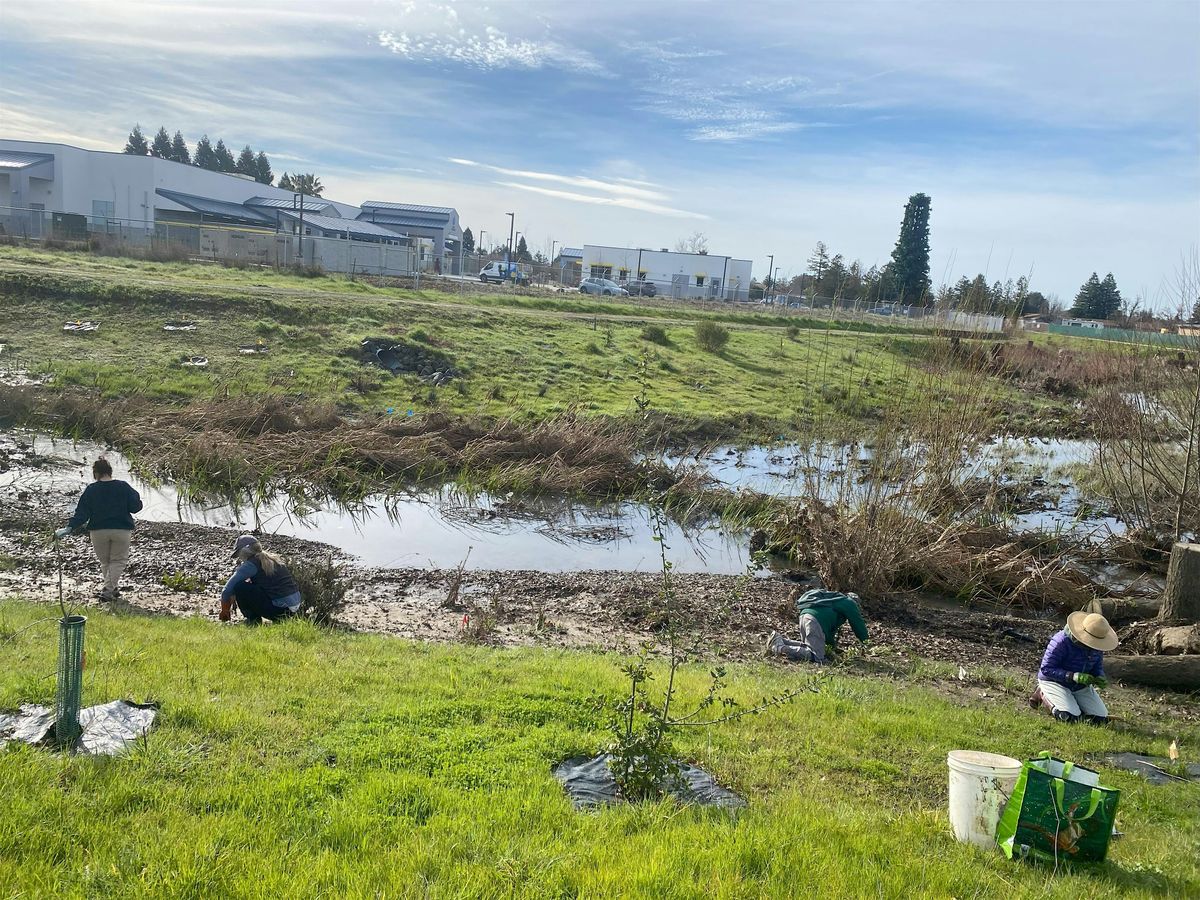 D\u00eda de Laguna Stewards en Colgan Creek\/Laguna Stewards at Colgan Creek