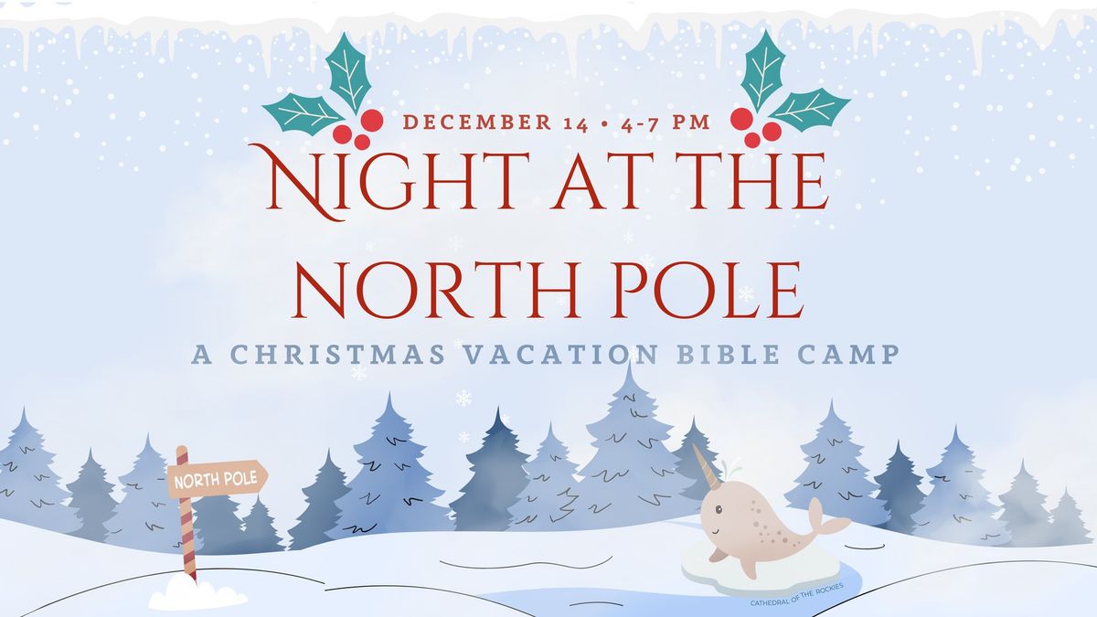 Night at the North Pole!