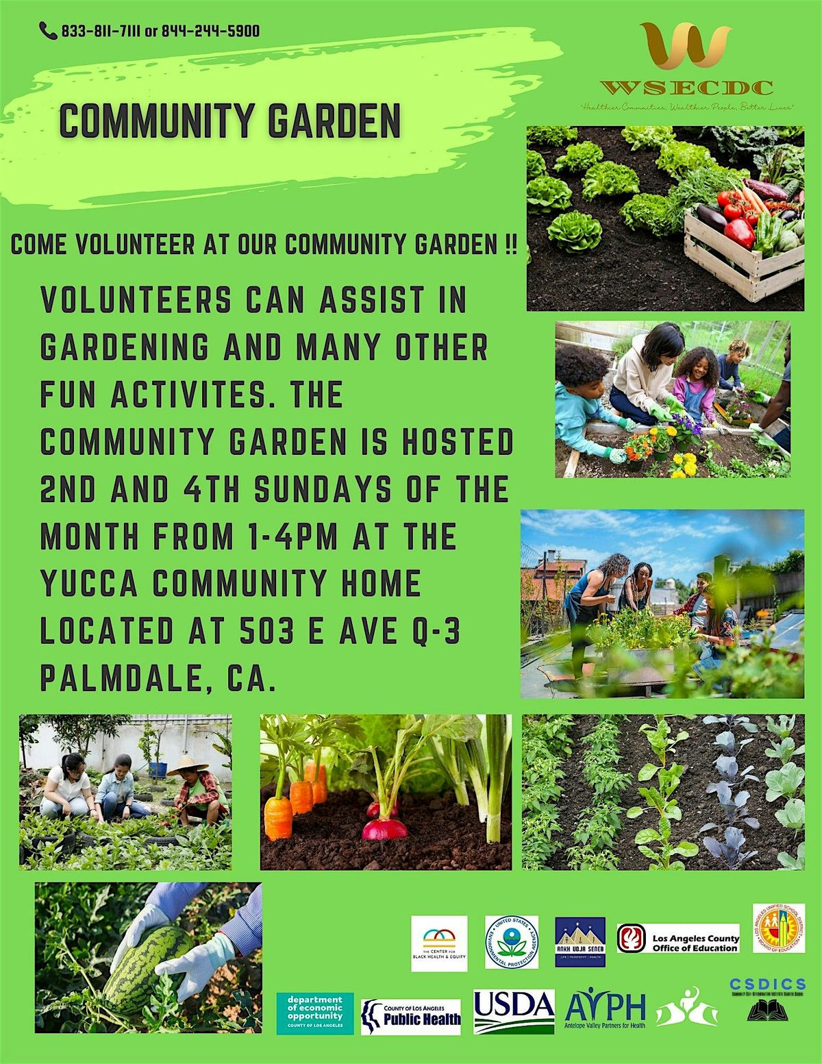 Community Garden Volunteering Event