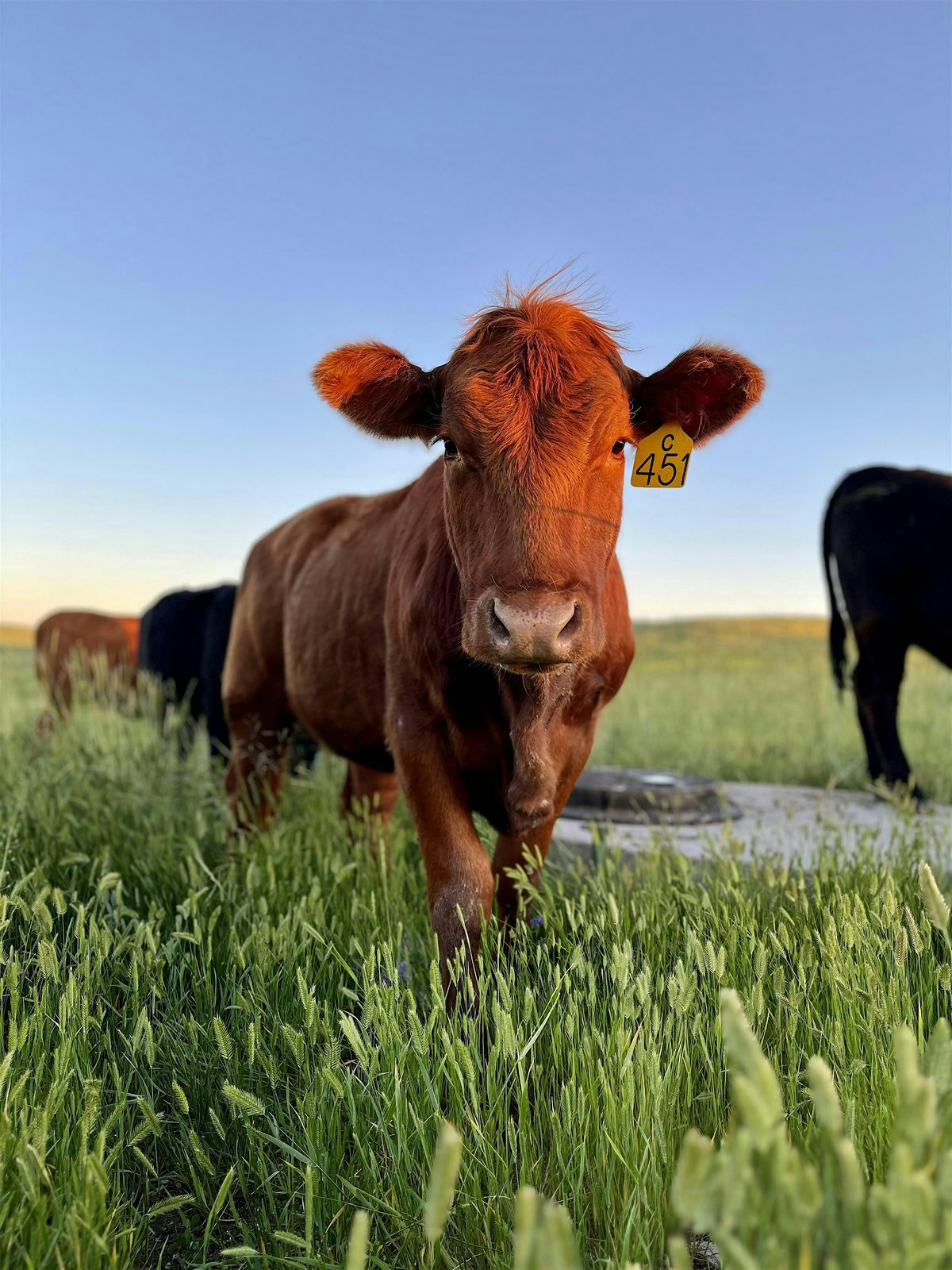 RANCH & LIVESTOCK RECORD KEEPING WORKSHOP