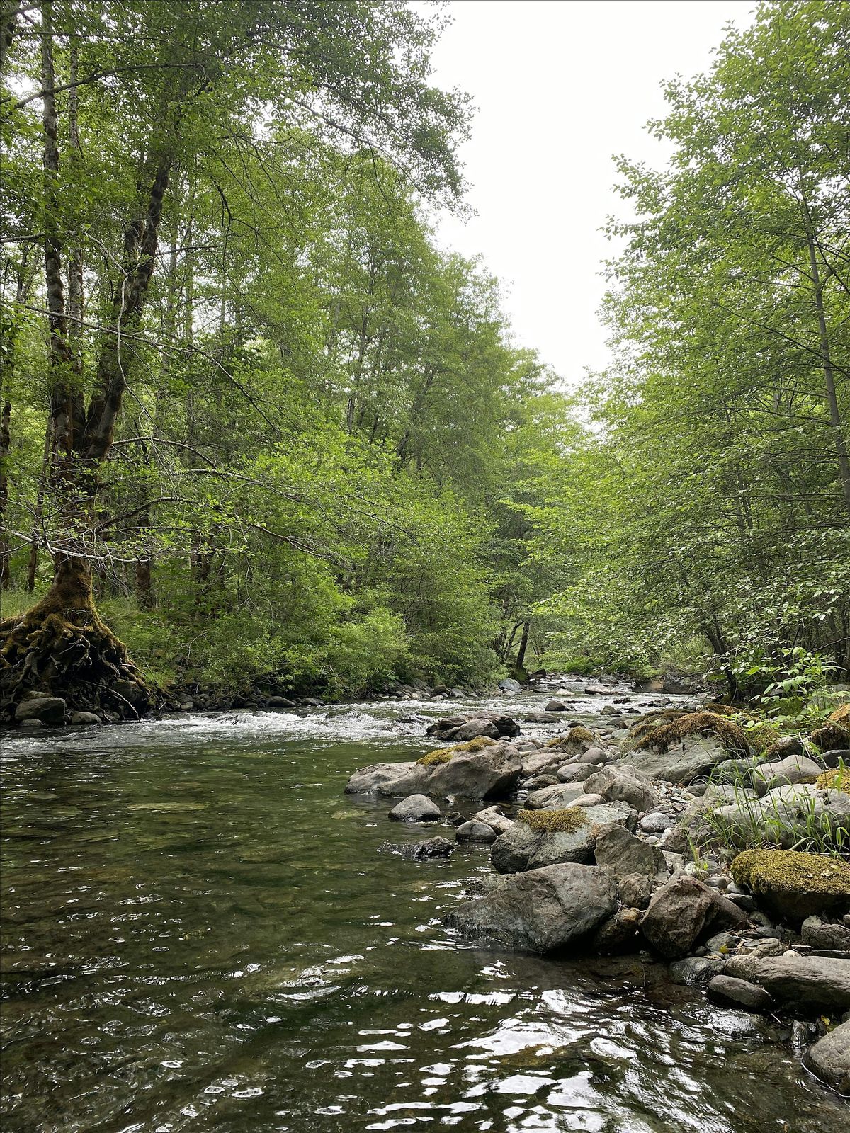 Teen Gathering \u2013 Smith River \u2013 Wilderness Passage & Survival Quest.