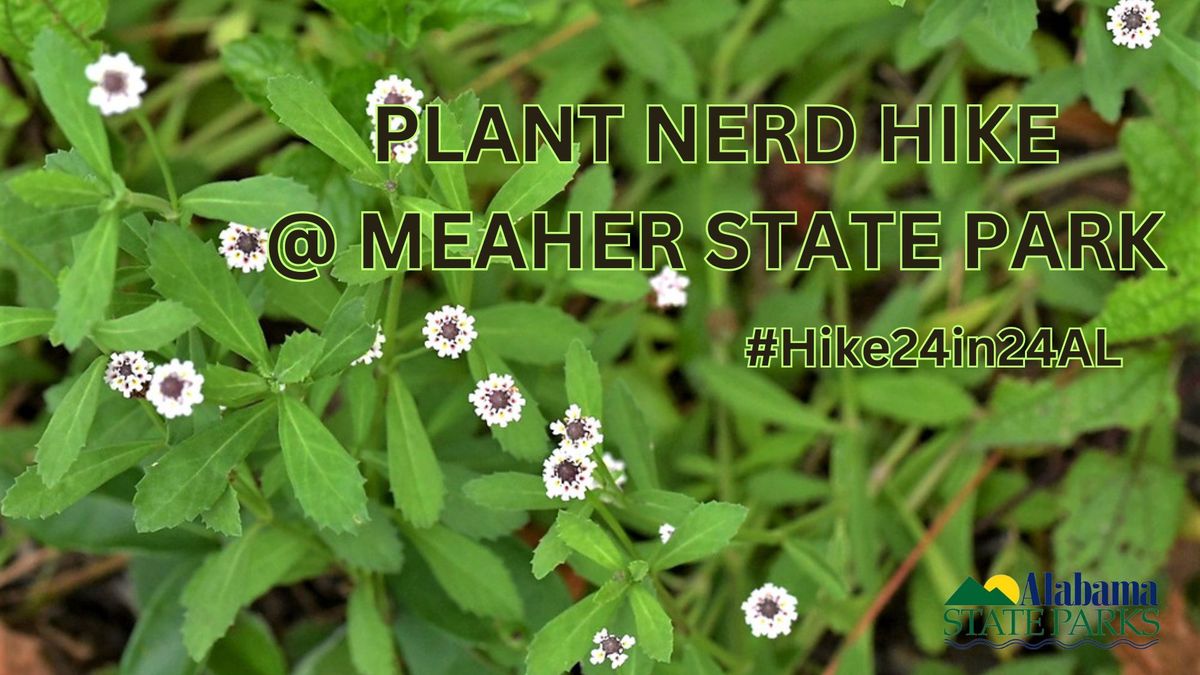 Plant Nerd Hike @ Meaher #Hike24in24AL