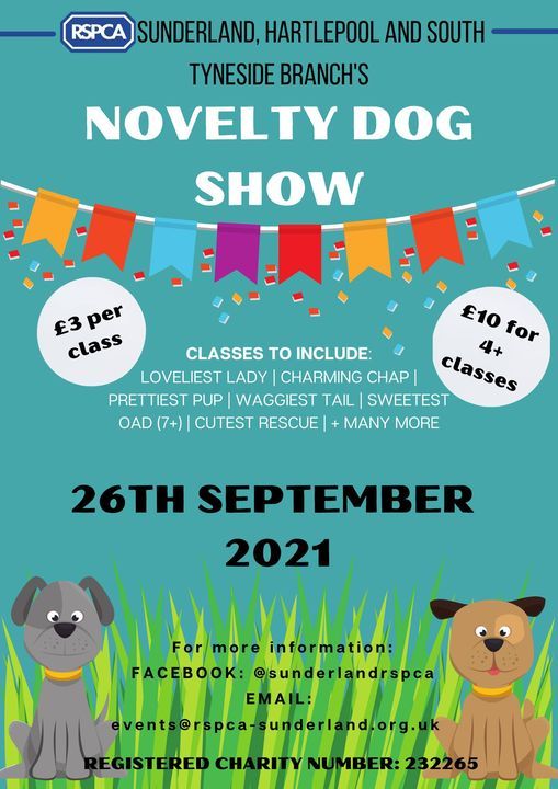 Dog Show Event