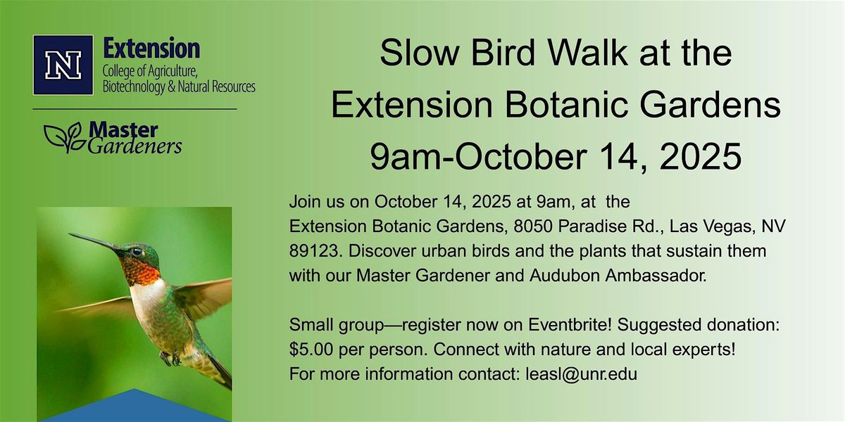 Slow Bird Walks at the Extension Botanic Gardens