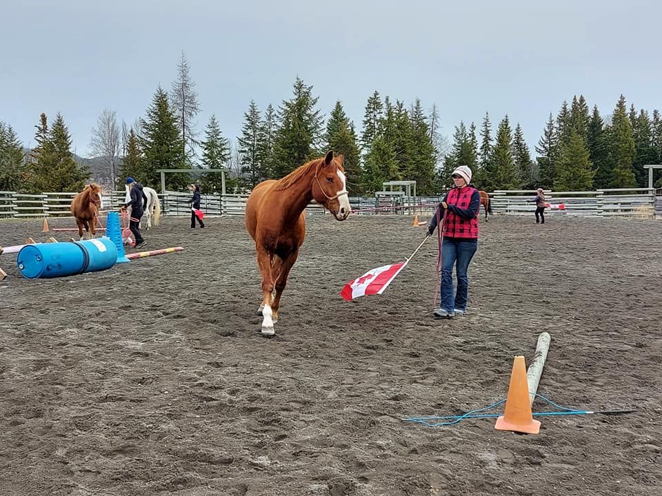 Annual Spring Groundwork Clinic