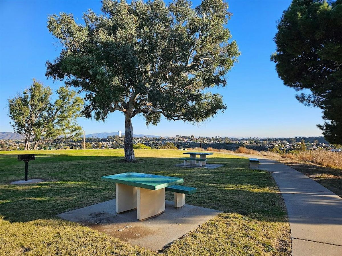 Tree Treks at Kate Sessions Park