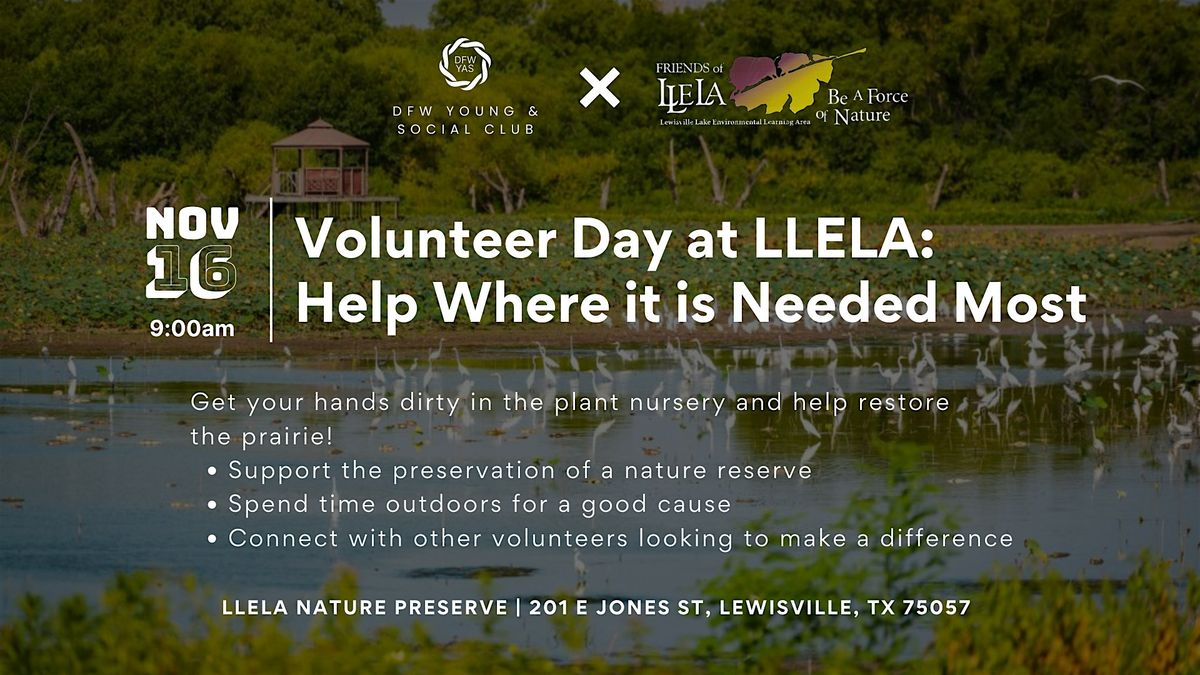 Volunteering at LLELA: Help Where It\u2019s Needed Most