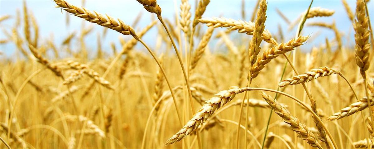 AgriBusiness Summit