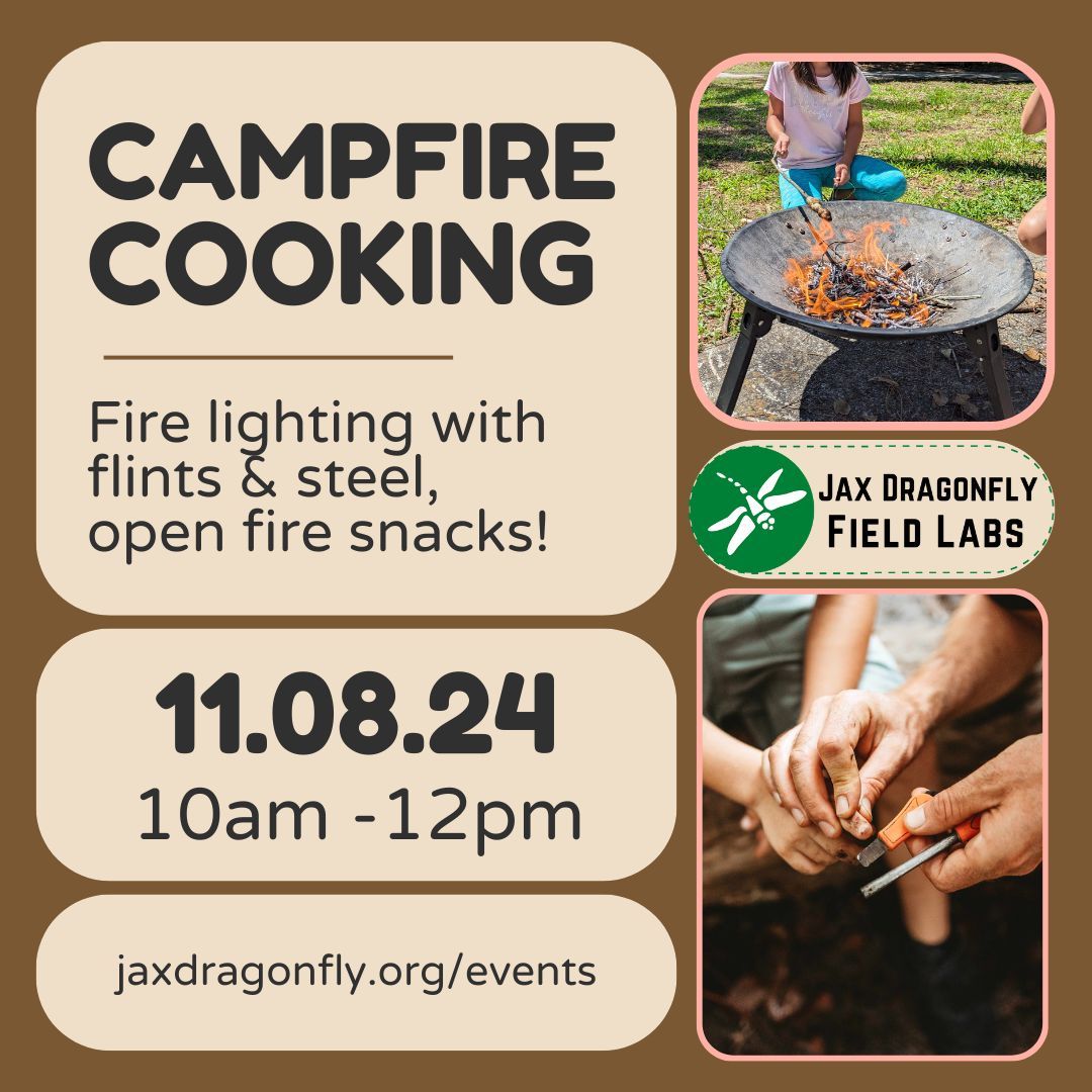 Campfire Cooking w\/Jax Dragonfly