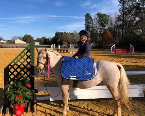 Radway Eventing Schooling Show