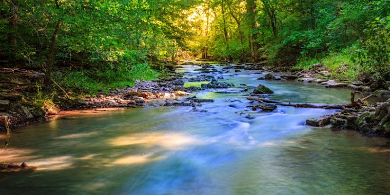 Youth Rising for Nature Community Clean-Up
