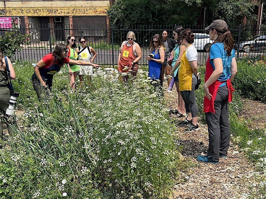 Decolonize the Garden: From Seeds to Bees