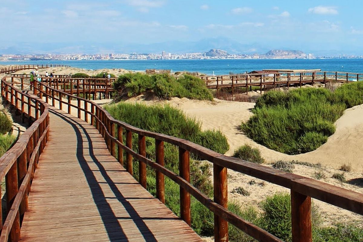 IMPORTANTE LEER DETALLES! Viaje a las Playas de ALICANTE ELCHE Y SANTA POLA