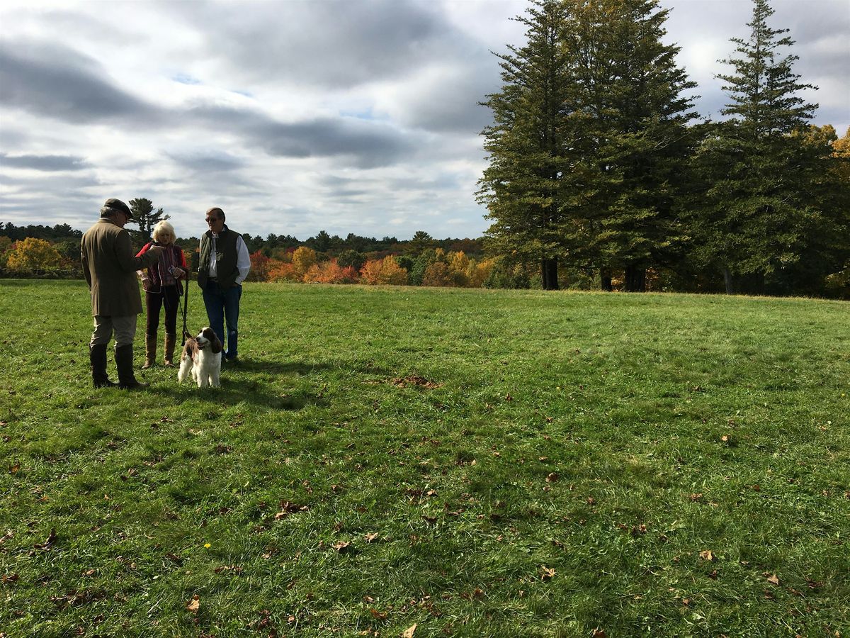 3rd Saturday Stroll on Pegan Hill