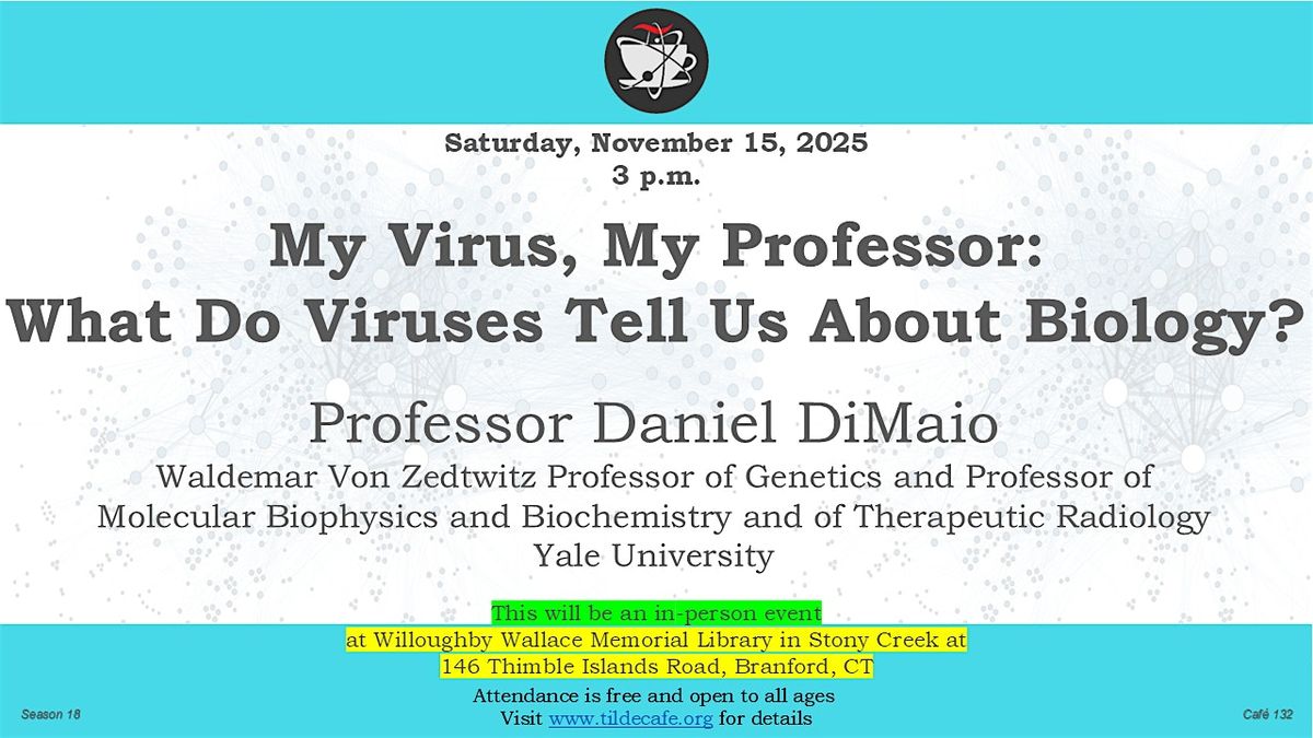 My Virus, My Professor:   What Do Viruses Tell Us About Biology?
