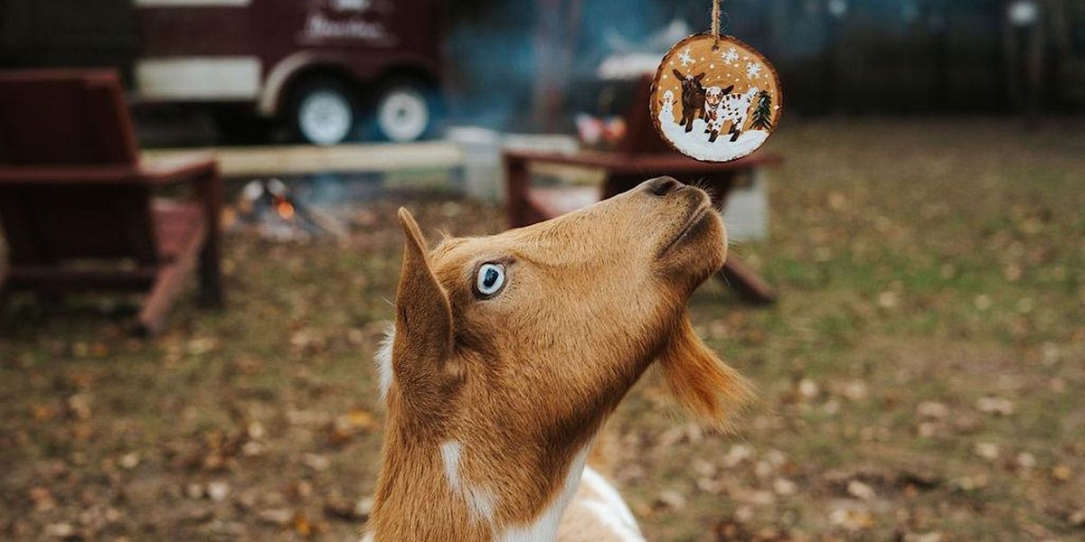 Painting Farm Ornaments with Goats