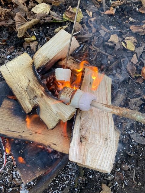 Festive Farm and Forest School