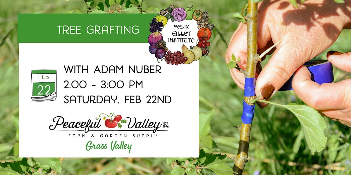 Tree Grafting with Adam Nuber of the Felix Gillet Institute