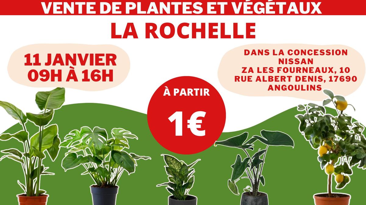 LA ROCHELLE - V\u00e9g\u00e9taux et Plantes \u00e0 partir de 1\u20ac by Plantes Addict