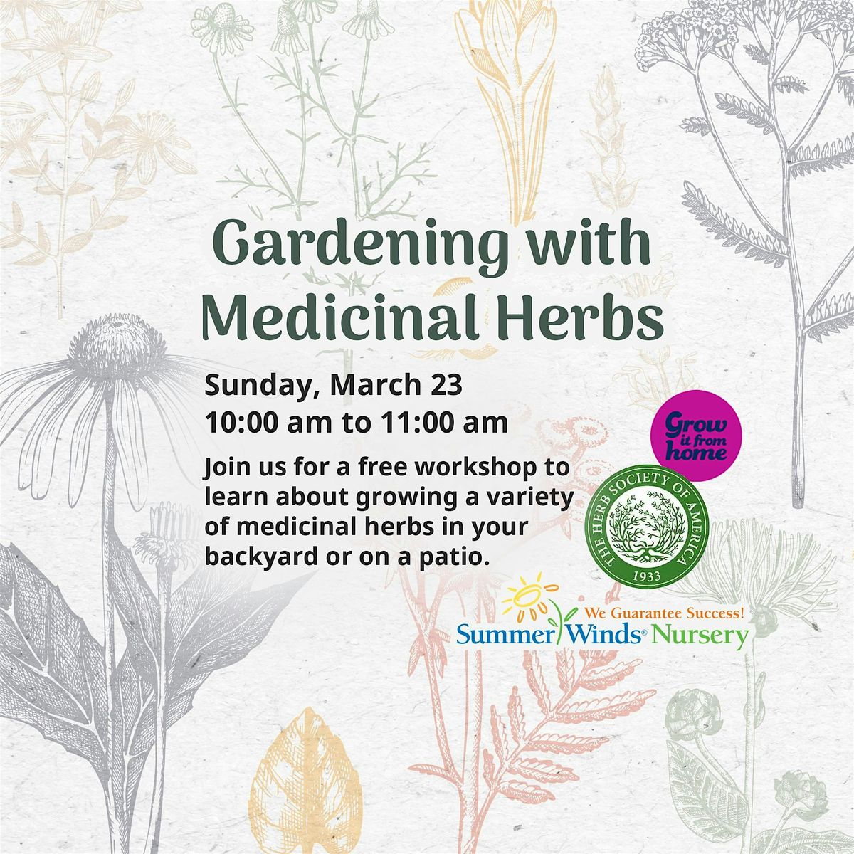 Gardening with Medicinal Herbs in Campbell