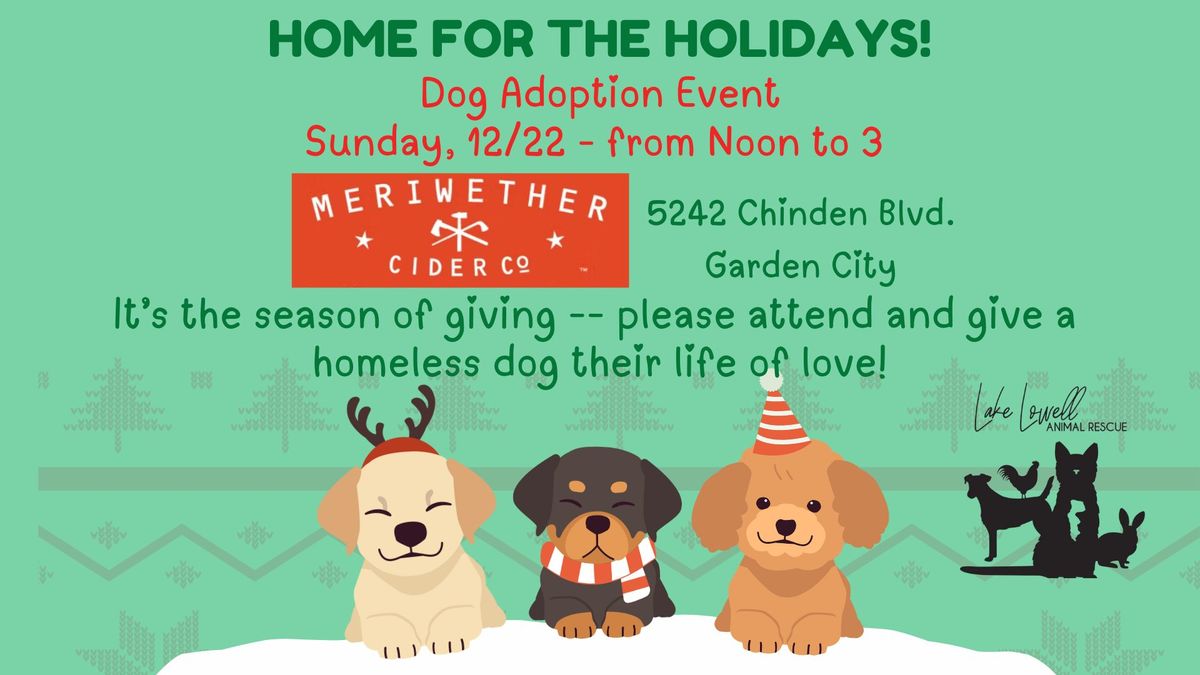 Home for the Holidays Dog Adoption Event