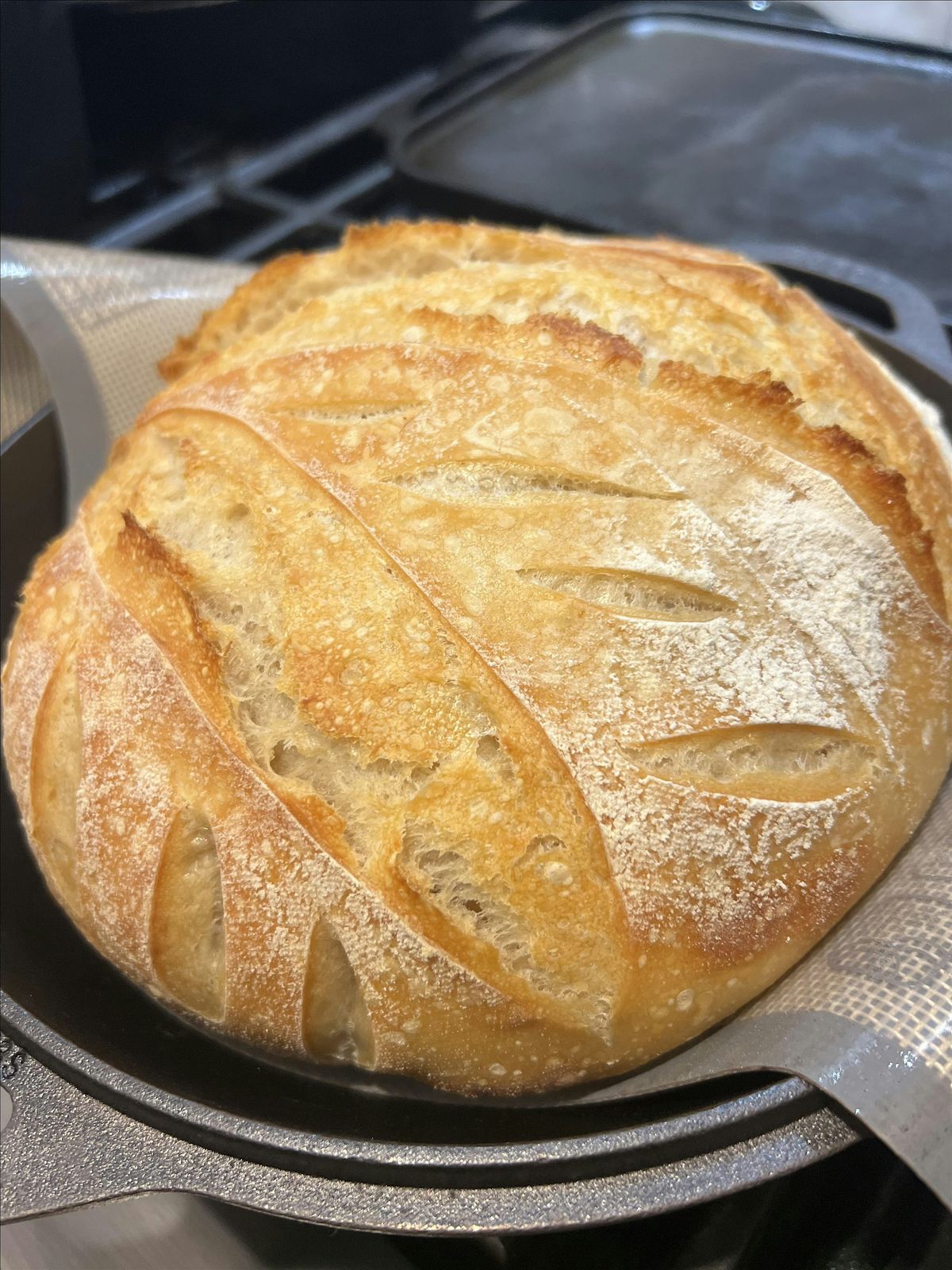 The Art of Sourdough