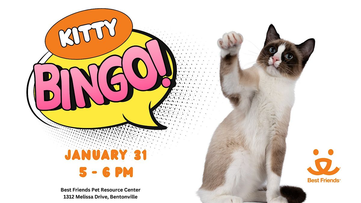 Kitty Bingo