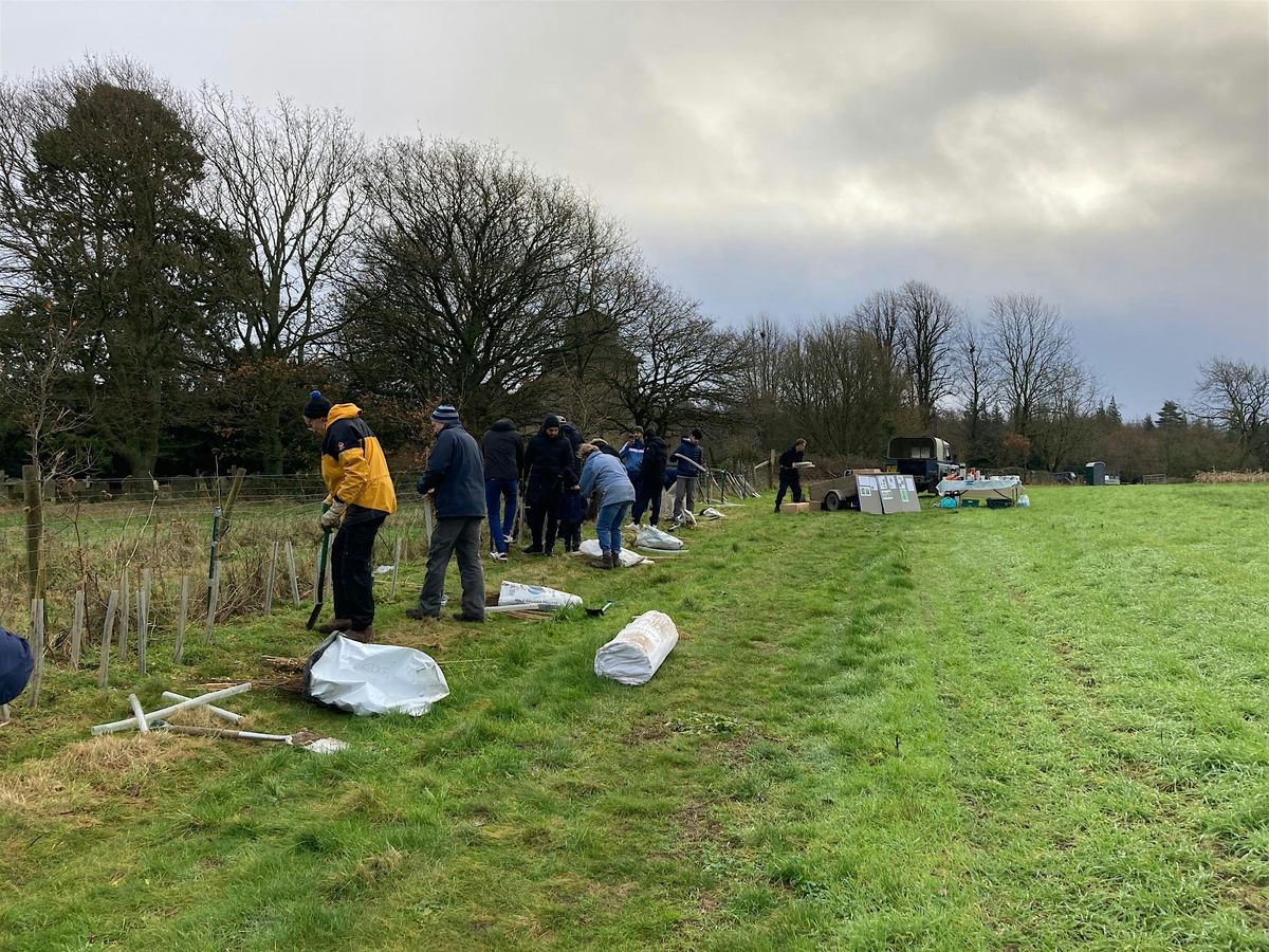 Hedge Planting Day at Norbury Park Farm